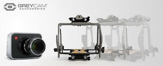 GreyCAM BMD Series 1