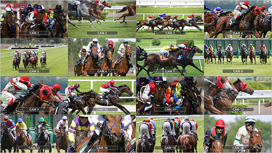 Blackmagic MultiView 16