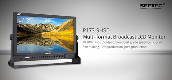 Seetec P173-9HSD